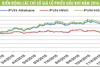 PVN-Index phục hồi khả quan