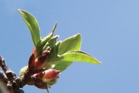 Động thổ công trình thế nào cho đúng?