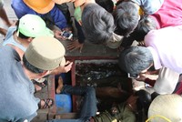 Cá đang được nuôi giữ trong tàu cá của gia đình anh Sự