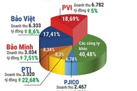 Top 5 công ty bảo hiểm có thị phần cao nhất 2016
