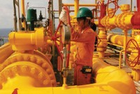 Năm 2017, PGD dự kiến lãi ròng 157 tỷ đồng