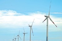 Phát triển nhà máy điện gió tại các tỉnh phía Nam hiện phù hợp với Chiến lược Quốc gia về tăng trưởng xanh của Chính phủ. Ảnh: Đức Thanh