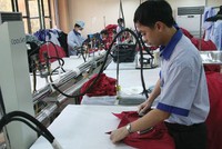 Cổ đông VGT chấp thuận cho cổ đông chiến lược VID thoái vốn trước hạn