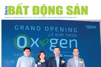 Đầu tư Bất động sản số 14