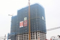 Tân Hoàng Minh vừa tổ chức cất nóc Dự án D’. Roi Soleil, dự án đã bán được 60% số căn hộ, theo chủ đầu tư
