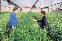 Nông nghiệp công nghệ cao, nghe nói thế chứ biết “rau nào là sạch, là bẩn“