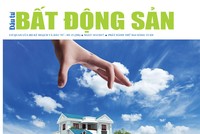 Đầu tư Bất động sản số 15
