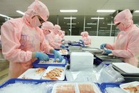 Các chuyên gia kinh tế nói gì về “kế hoạch B” thay thế TPP cho Việt Nam?