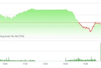 Phiên chiều 21/4: VN-Index lập kỷ lục mới về giá trị giao dịch