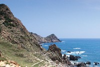 Đánh thức “nàng công chúa ngủ trong rừng”