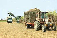 Đặt chỉ tiêu thấp, QNS vượt kế hoạch lợi nhuận năm sau quý I