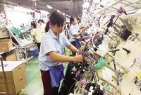 Công ty TNHH MTV Hanel trước đây là Công ty Điện tử Hà Nội, được thành lập vào năm 1984, hoạt động chủ yếu trong các lĩnh vực khoa học công nghệ, công nghệ thông tin, kinh doanh thương mại, đầu tư vào các dự án thuộc lĩnh vực điện tử.