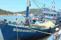 Theo Bộ Nông nghiệp và Phát triển Nông thôn, phần lớn tàu cá vỏ thép đưa vào hoạt động đã phát huy hiệu quả rõ rệt, tuy nhiên đã xuất hiện một số tàu vỏ thép không đảm bảo chất lượng, gây thiệt hại cho chủ tàu