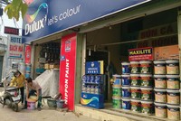  Thị trường sơn hiện có nhiều sản phẩm khác nhau, từ các hãng lớn, tới các hãng nhỏ. Ảnh: Việt Dũng