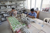 Sau này, có thể loại bỏ tất cả chủ thể hộ gia đình, hộ kinh doanh, tổ hợp tác ra khỏi các đạo luật, nhưng vẫn không thể bỏ chủ thể doanh nghiệp tư nhân
