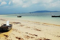 Cô Tô ngày lặng sóng