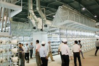 Dự án nhà máy sản xuất xơ sợi Đình Vũ có tổng vốn đầu tư 7.000 tỷ đồng do Công ty Cổ phần Hóa dầu và Xơ sợi dầu khí (PVTex), PVN làm chủ đầu tư