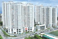 Geleximco: “Lá chắn” vững vàng cho các dự án bất động sản