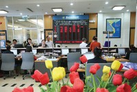 Sacombank được coi là cơ hội đầu tư tốt hơn LienvietPostBank của Him Lam