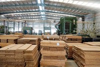 Nhà máy sản xuất tre ép công nghiệp BWG tại Mai Châu của SJF