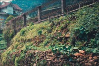 Tam Đảo, phố núi mộng mơ