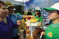 Các mảng kinh doanh của CTCP Tập đoàn Lộc Trời chịu tác động khá lớn của yếu tố... thời tiết