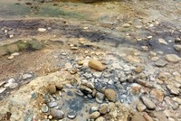 Dòng suối hoang tàn đang chờ ngày hồi sinh