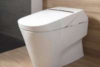 Bồn cầu tự làm sạch giá 10.000 USD