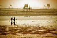 Khu kinh tế Thái Bình sẽ được xây dựng để trở thành khu kinh tế tổng hợp, đa ngành, trở thành địa bàn có tính đột phá của tỉnh Thái Bình. Ảnh minh hoạ. Nguồn: Internet