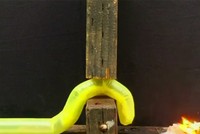 Robot biến hình lách qua khe hẹp như rắn