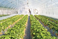 Tân Chủ tịch HAI: Chúng tôi đang lựa chọn đối tác chiến lược nước ngoài