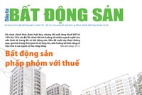 Đầu tư Bất động sản số 35/2017