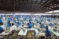 Cổ phiếu dệt may dồn dập lên sàn