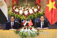 Chủ tịch nước Trần Đại Quang và Tổng thống Ai Cập Abdel Fattah Al Sisi chủ trì họp báo, thông báo kết quả hội đàm