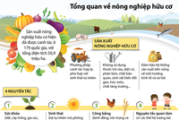 [Infographic]Tổng quan về nông nghiệp hữu cơ