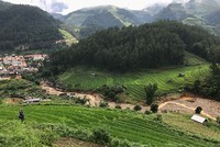 Bay lên “mùa vàng” Mù Cang Chải