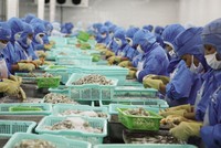 Nhiều doanh nghiệp ngành thực phẩm, bất động sản, chứng khoán... có những chuyển biến tích cực trong hoạt động kinh doanh