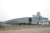 Đấu giá lần 1 thất bại, Phó thủ tướng yêu cầu tiếp tục bán đấu giá Nhà máy bột giấy Phương Nam