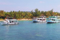 Các đặc khu kinh tế trong khu vực và thế giới thường đạt tăng trưởng GDP xấp xỉ 20% trở lên