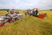 Thủ tướng chủ trì Hội nghị quy mô nhất từ trước đến nay về phát triển bền vững ĐBSCL