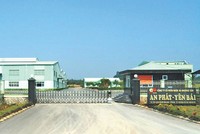 8 năm khởi nghiệp, HII đến thời điểm bứt phá