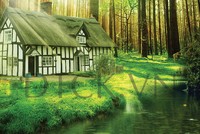 Cuối đời chuyển nhà