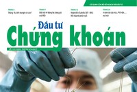 Đầu tư Chứng khoán số 119/2017