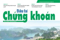 Đầu tư Chứng khoán số 121/2017