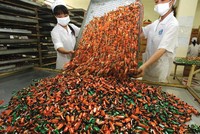 Doanh nghiệp như đi trên dây trong hệ thống thể chế mà một bánh sô-cô-la cõng 13 giấy giấy phép hay thủ tục bán gà lâu hơn cả thời gian nuôi gà . Trong ảnh: Sản xuất tại Công ty cổ phần Bánh kẹo Tràng An.