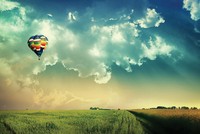 Đêm cũng nằm mơ đất