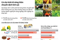 [Infographic] Cơ cấu kinh tế nông thôn chuyển dịch tích cực