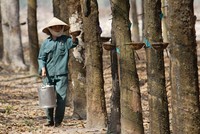 RTB: 9 tháng, ước lãi trước thuế 252 tỷ đồng