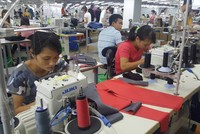 FTA với Hàn Quốc đang được khai thác hiệu quả để thúc đẩy xuất khẩu