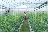 Agribank thúc đẩy tín dụng xanh cho phát triển bền vững